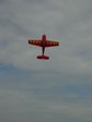 DSC05858.JPG