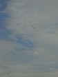 DSC05881.JPG