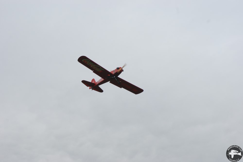 DSC_7246.JPG
