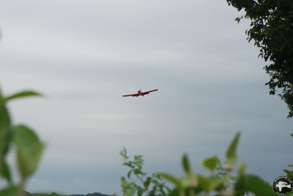 DSC_7247.JPG