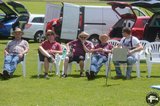 DSC_2339.JPG