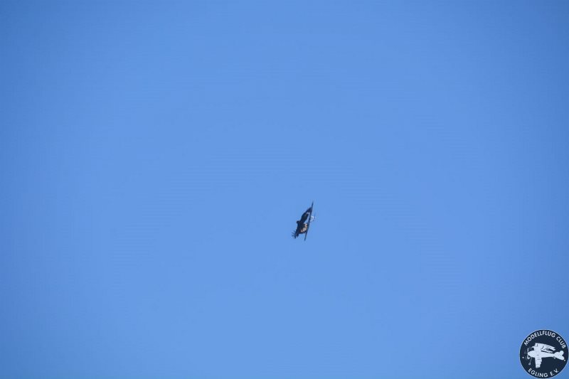 DSC_8986.jpg