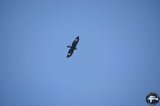 DSC_8980.jpg