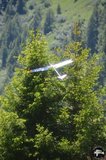 DSC_8998.jpg