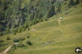 DSC_9193.jpg