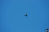 DSC_8743.JPG