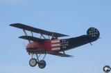 DSC_4671.JPG