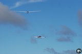 DSC_7894.JPG