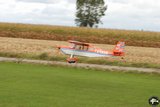 DSC_7954.JPG