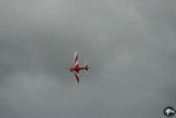 DSC_8013.JPG