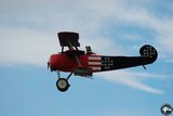 DSC_8116.JPG
