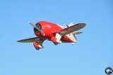 DSC_8728.JPG