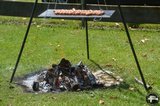 DSC_2619.JPG