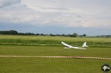 DSC_8156.JPG