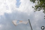 DSC_8190.JPG