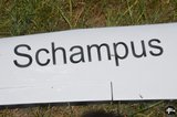 DSC_6878.JPG