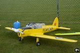 DSC_6347.JPG