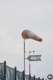 DSC_6383.JPG