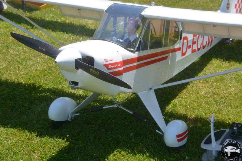 DSC_8336.JPG