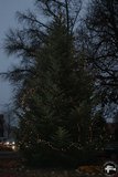 DSC_1866.JPG